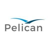 pelican.ai logo image