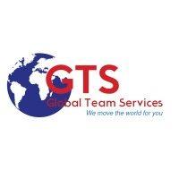 global team services (pty) ltd logo image