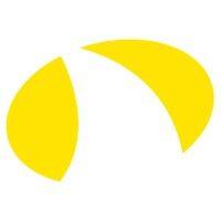 yellowshark group logo image