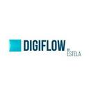 logo of Digiflow