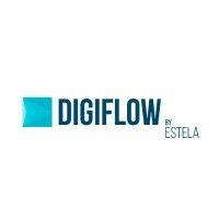 digiflow logo image