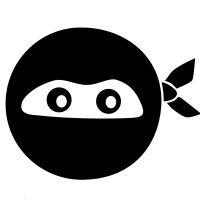 digital ninjas logo image