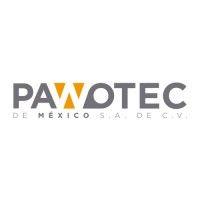 pawotec-automotive logo image