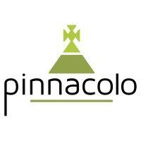 pinnacolo logo image