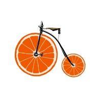 the orange bicycle company