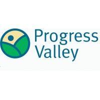 progress valley, inc. logo image