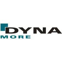 dynamore, an ansys company logo image