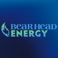 bear head energy logo image