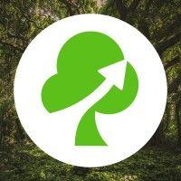 nowgreen logo image