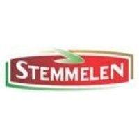 salaisons stemmelen logo image