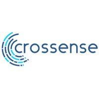 crossense (acquired by toluna)