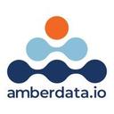 logo of Amberdata