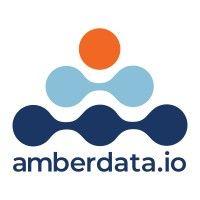 amberdata logo image