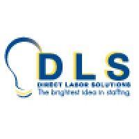 direct labor solutions logo image