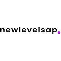 newlevelsap | custom crm & erp solutions logo image