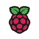 logo of Raspberry Pi Foundation