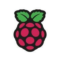 raspberry pi foundation logo image