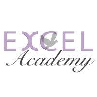 excel academy llc