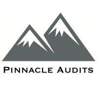 pinnacle audits logo image