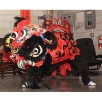 cws lion dance logo image