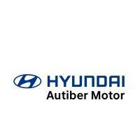 hyundai autiber motor s.l.