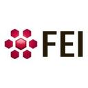 logo of Fei Company