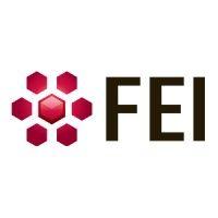 fei company