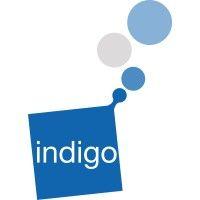 indigo business services ltd