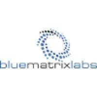 blue matrix labs, llc logo image