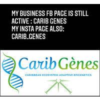 carib genes