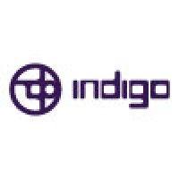 indigo logo image