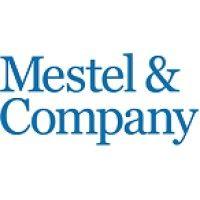 mestel & company logo image