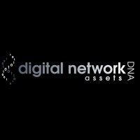 digital network assets logo image