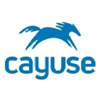 cayuse logo image