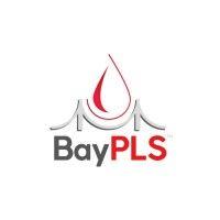 baypls logo image