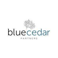 blue cedar partners logo image