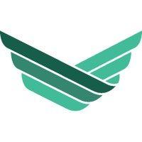 web wings logo image