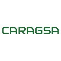 caragsa consulting logo image