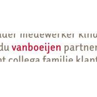 vanboeijen logo image