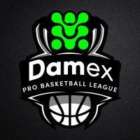 damex pro league logo image