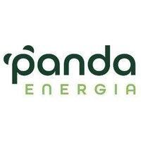 panda energia logo image