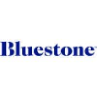 bluestone real estate logo image