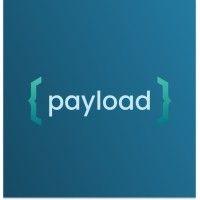 payload logo image