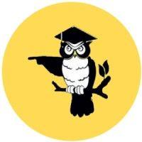 the famous owl of minerva logo image