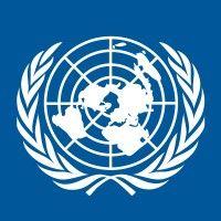 united nations international residual mechanism for criminal tribunals (irmct) logo image