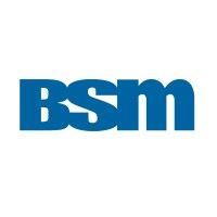 bsm engenharia logo image