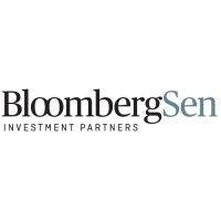 bloombergsen investment partners logo image