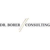 dr. borer consulting logo image