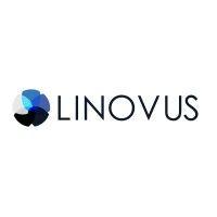 linovus holdings inc logo image