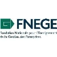 fnege logo image